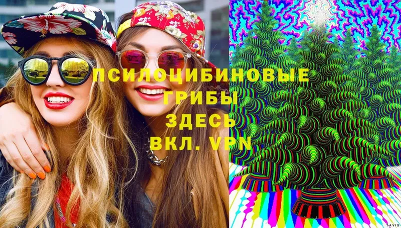 Псилоцибиновые грибы Cubensis  Калининск 